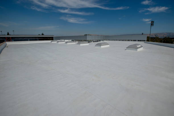 Best Storm Damage Roof Repair  in Ambridge, PA