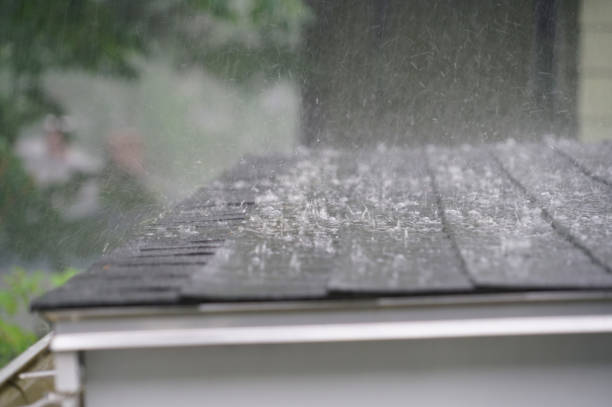 Best Roof Replacement  in Ambridge, PA