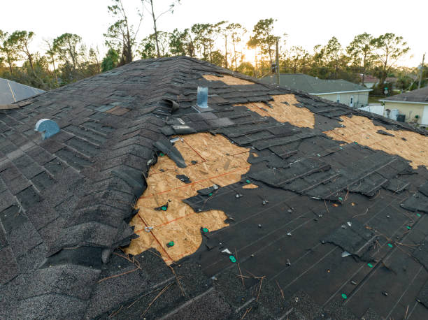 Best Emergency Roof Repair Services  in Ambridge, PA
