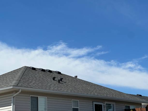 Trusted Ambridge, PA Roofing Service Experts